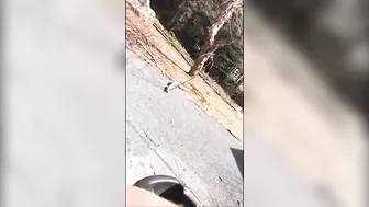 Homemade Outdoor Sex with Amateur Couple Public Fucking & Blowjob