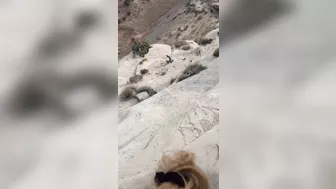 Homemade Blowjob in Public with Amateur Girlfriend during Covid-19 Nature Walk Homemade Blowjob in Public with Amateur Girlfriend during Covid-19 Nature Walk