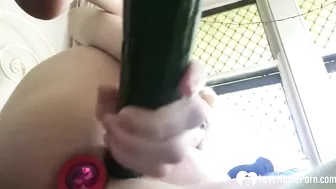 Homemade Anal Sex with Butt Plugs & Cucumbers