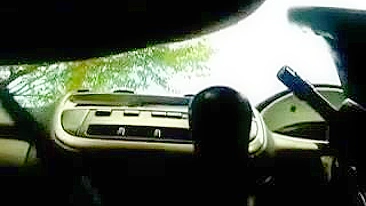 Homemade Masturbation with Brunette Euro Babe in Car Amateur Selfie