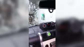 Mature Wife Homemade Car Wash Masturbation