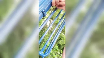 Homemade Amateur Sluts Masturbate with Dildos in Public Park