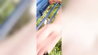 Homemade Amateur Sluts Masturbate with Dildos in Public Park