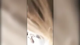 Homemade Porn Video - Amateur Blondes Swallow Cum in Public Dressing Room