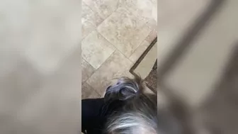 Homemade Sluts Lick Balls & Cum Dripping Amateur Nymphos