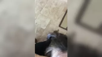 Homemade Sluts Lick Balls & Cum Dripping Amateur Nymphos Homemade Sluts Lick Balls & Cum Dripping Amateur Nymphos