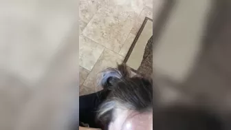 Homemade Sluts Lick Balls & Cum Dripping Amateur Nymphos