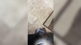 Homemade Sluts Lick Balls & Cum Dripping Amateur Nymphos