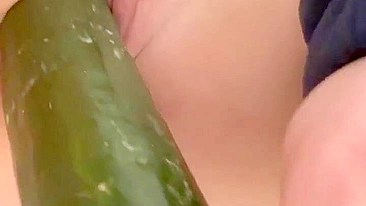 Homemade Masturbation with Cucumber & Dildo - Amateur BBW Porn