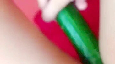 Homemade Cucumber Fun - Amateur Masturbation with Fresh Produce