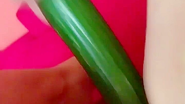 Homemade Cucumber Fun - Amateur Masturbation with Fresh Produce