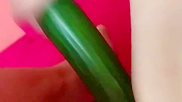 Homemade Cucumber Fun - Amateur Masturbation with Fresh Produce