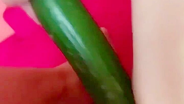 Homemade Cucumber Fun - Amateur Masturbation with Fresh Produce