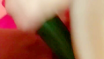 Homemade Cucumber Fun - Amateur Masturbation with Fresh Produce