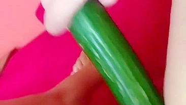 Homemade Cucumber Fun - Amateur Masturbation with Fresh Produce