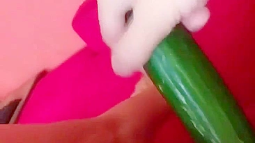 Homemade Cucumber Fun - Amateur Masturbation with Fresh Produce