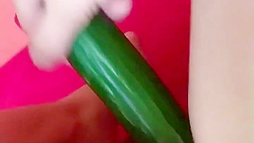 Homemade Cucumber Fun - Amateur Masturbation with Fresh Produce