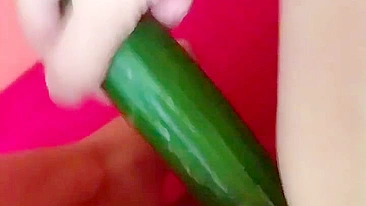 Homemade Cucumber Fun - Amateur Masturbation with Fresh Produce