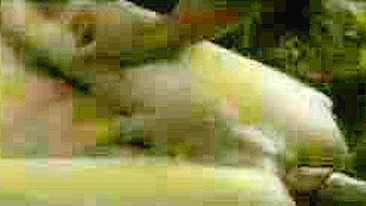 Homemade Twink Cum Eating Anal Sex with Boyfriends