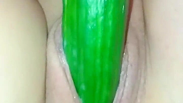 Homemade MILF Play with Big Dildos & Cucumbers