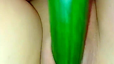 Homemade MILF Play with Big Dildos & Cucumbers
