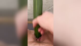 Homemade Masturbation with Amateur BBWs and Cucumbers