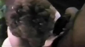 Homemade Swinger Threesome with BBC and Cuckold Hubby