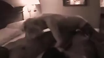 Interracial Cuckold Swing Action with MILF Wife and Big Black Cocks