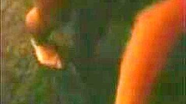 Brunette Threesome Gangbang - Amateur Group Sex Homemade Porn