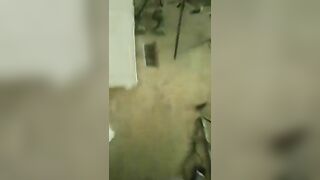 Amateur Ebony Gangbang Threesome - Homemade Black Spitroast