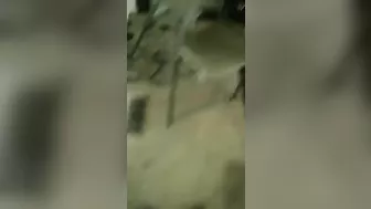 Amateur Ebony Gangbang Threesome - Homemade Black Spitroast Amateur Ebony Gangbang Threesome - Homemade Black Spitroast