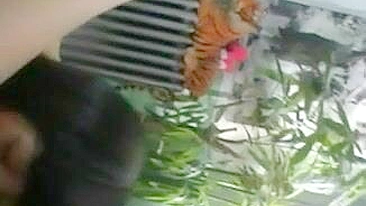 Amateur Chinese MILF Threesome with Younger Girl #Wife, #3some