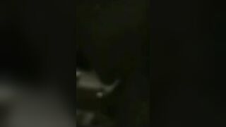 Amateur Threesome with Cock Sucking & Blowjobs