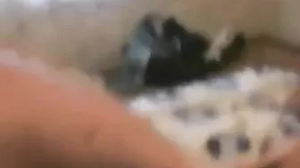 Homemade Threesome with Brunettes in Amateur Gangbang Homemade Threesome with Brunettes in Amateur Gangbang