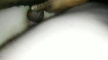 Interracial Gangbang with Wife Anal DP