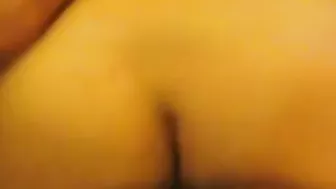 Wife Bisexual Cuckold Hubby Licks Bulls Balls in Group Sex Threesome