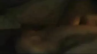 Interracial Bisexual Threesome with Big Black Cock and Oral Sex