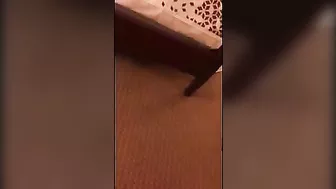 Amateur Wife Thrilling Gangbang with Hubby & Friends