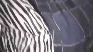 Interracial Wife Anal Pussy Fuck & Facial with Two Black Men in Amateur Homemade Threesome