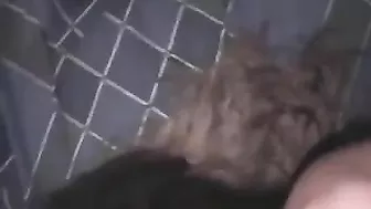 Interracial Wife Anal Pussy Fuck & Facial with Two Black Men in Amateur Homemade Threesome