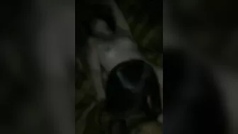 Lesbian Threesome Porn Video - Amateur Group Sex with Pussy Licking and Swingers