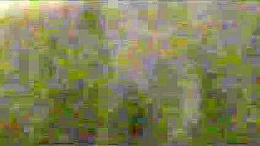 Married MILF Swingers' First Homemade Threesome Blowjob