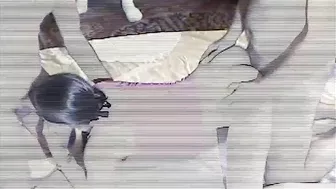 Married MILF takes two in steamy homemade threesome