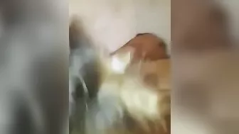 Share My Wife Gangbang - A Homemade Hotwife Cuckolding Group Fuck