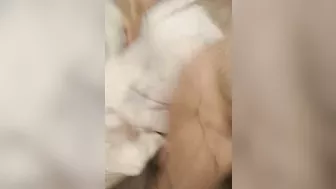 Lewd Wife Threesome with BBC & Hubby Cuckolding