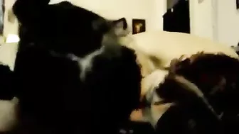 Amateur Threesome Blowjob Cum Swap