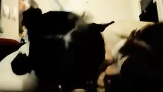 Amateur Threesome Blowjob Cum Swap