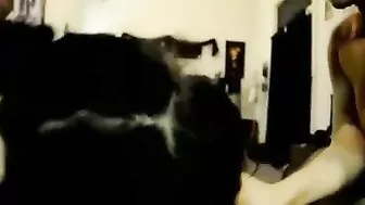 Amateur Threesome Blowjob Cum Swap Amateur Threesome Blowjob Cum Swap