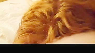 Redhead Wife Spitroast Threesome with Hubby and Friend