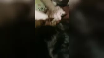 Amateur Threesome with BDSM & Spitroasting